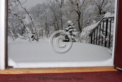 jspb_DSC_0036-F.jpg