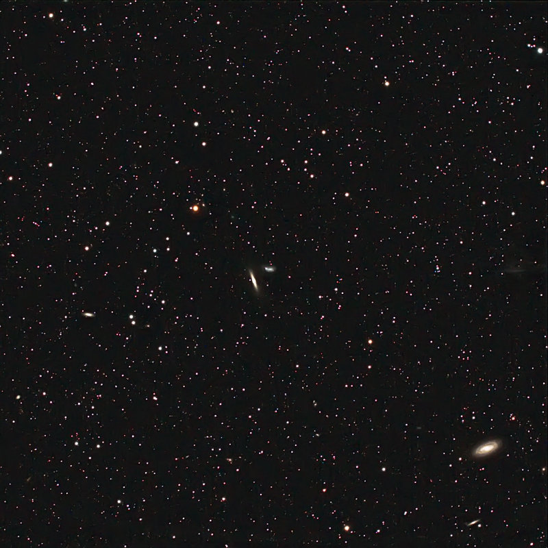 More Dorado Galaxies