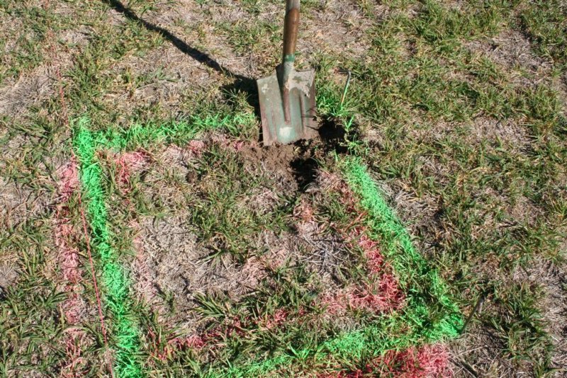 First sod.