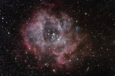 Rosette Nebula or NGC 2238  (Full Frame)