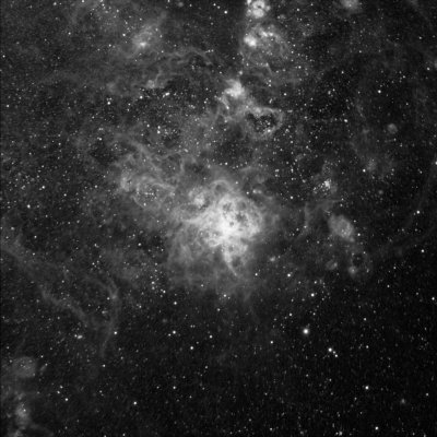 NGC 2070 in the light of Ha