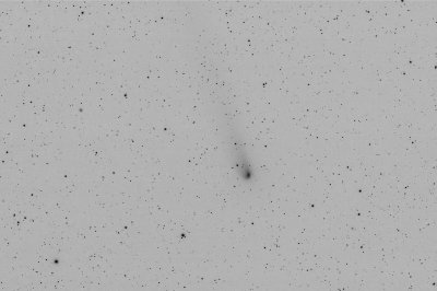 Comet 81P - Wild
