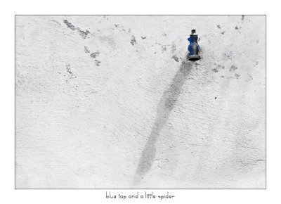 25.05.2009