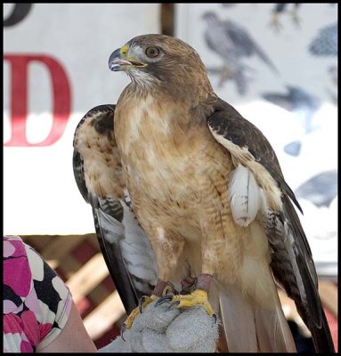 CRW_3787c.jpg