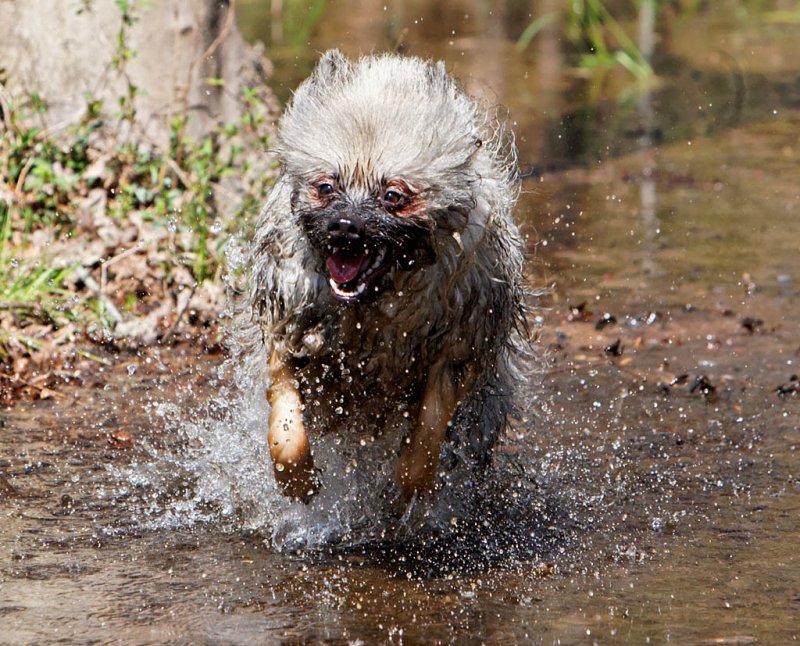 1D3_7032_DxO_raw_small.jpg
