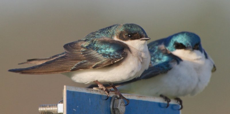 IMG_4689_DxO_RAW.jpg