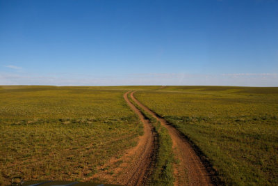 The Southern Gobi's flat plains seem to go on forever