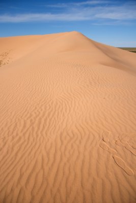 The Traveling Dunes are so named because they move slowly under the influence of wind