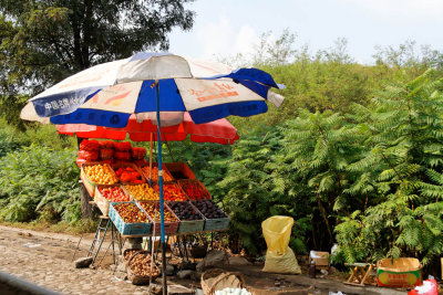 Roadside fruit stand