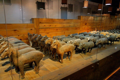 Figures of domestic animals, Yangling Mausoleum