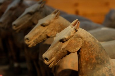 Miniature horses, Yangling Mausoleum