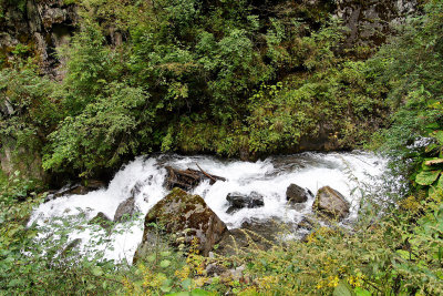 Stream running through Panda Valley