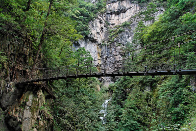 One of several suspension bridges in Panda Valley