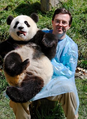 Chris with a squirming panda cub, Wolong