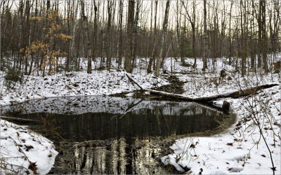 Magic Spring