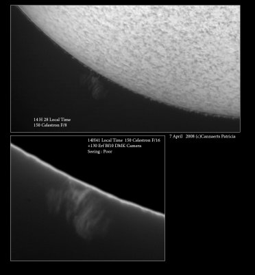 Prominences today