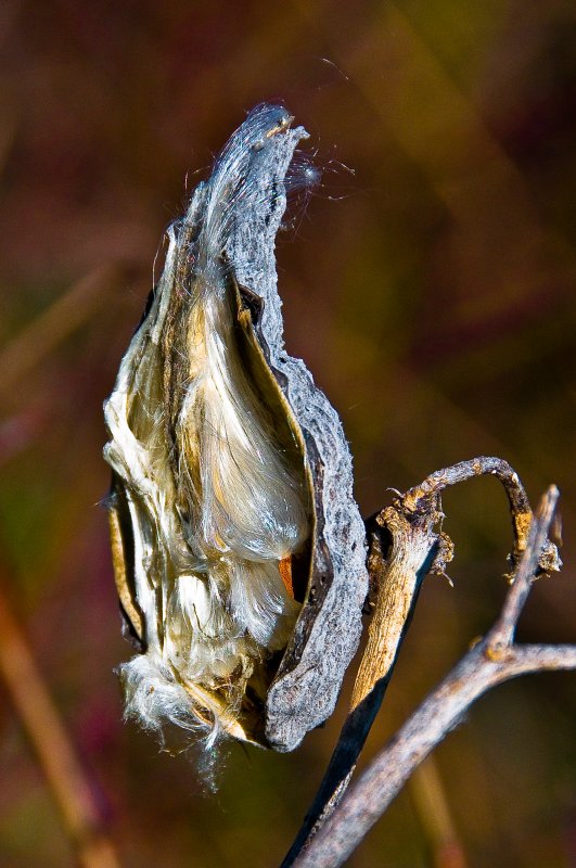 Weed Pod