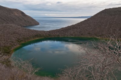 Darwins Lake, Isabella Island