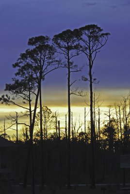 Sunsetting at GulfShores, AL