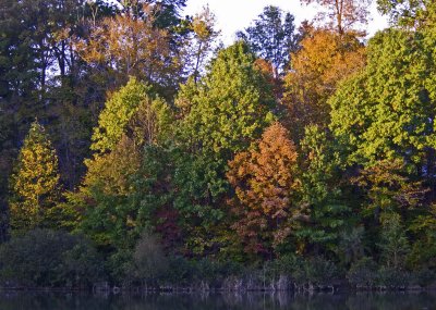 Fall on Lake Montclair