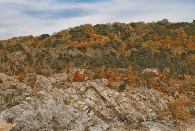 Great Falls, VA