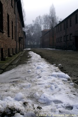raccontare Auschwitz  - Birkenau 2