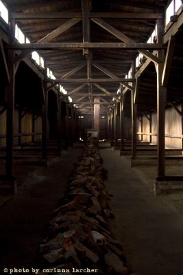 raccontare Auschwitz  - Birkenau 16