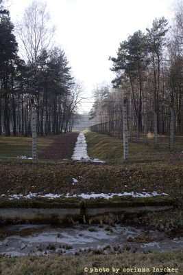 raccontare Auschwitz  - Birkenau 18