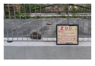 Museo all'Aperto di Fausto Delle Chiaie 90.jpg