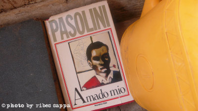 Amado Mio di Pier Paolo Pasolini