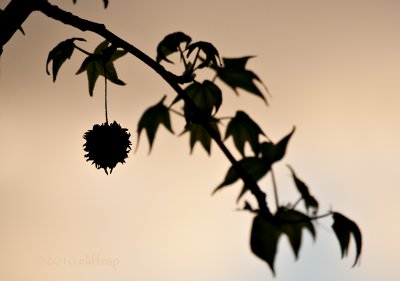 g3/56/782956/3/123596962.UZra6Y06.jpg