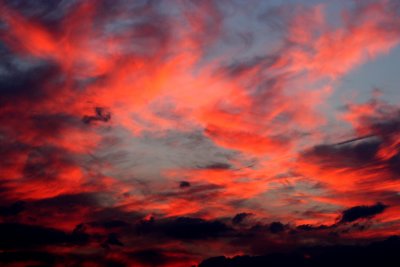 From my attic window.