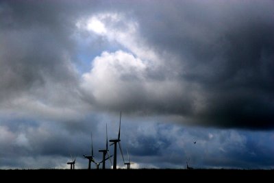 Anglesey Windmills.