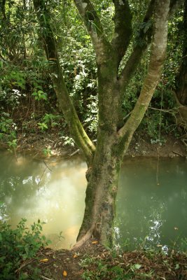 near Cuidad Valles, Mexico