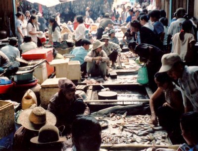 fishmarket, Cambodia
