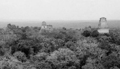 ruinas Tikal, Petan, Guatemala