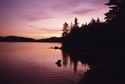 Algonquin Park, Ontario, Canada