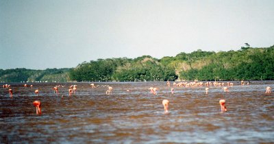 Yucatan, Mexico