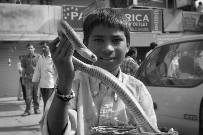 India from the back seat