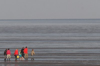 Strawling on the tidal flats...