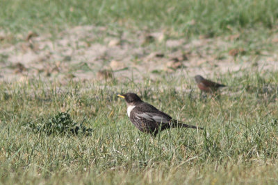 g3/56/840356/3/124627930.yZuxRQiS.jpg