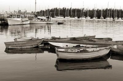 Row Boats