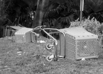 Shopping Carts