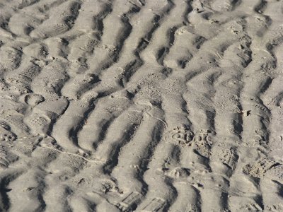 Brainy sand pattern over Balandra
