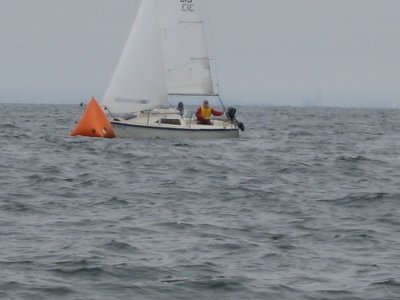 Monterey 013.jpg