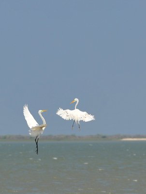 Fulton Rockport, Texas