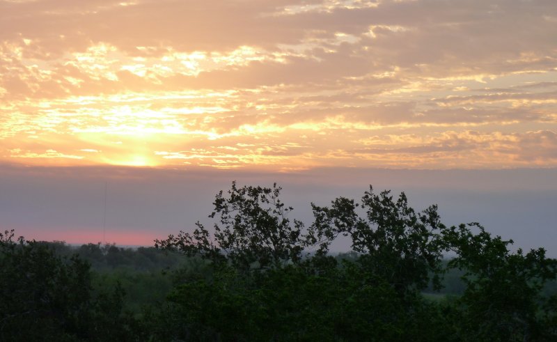 TX Sunset