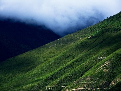 g3/56/928556/3/120719503.o8ef7eZT.jpg