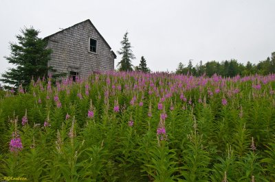 Trescott Maine - Route 191