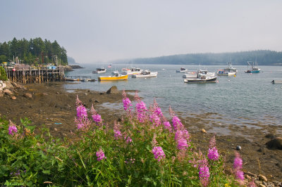 Cutler Maine harbor